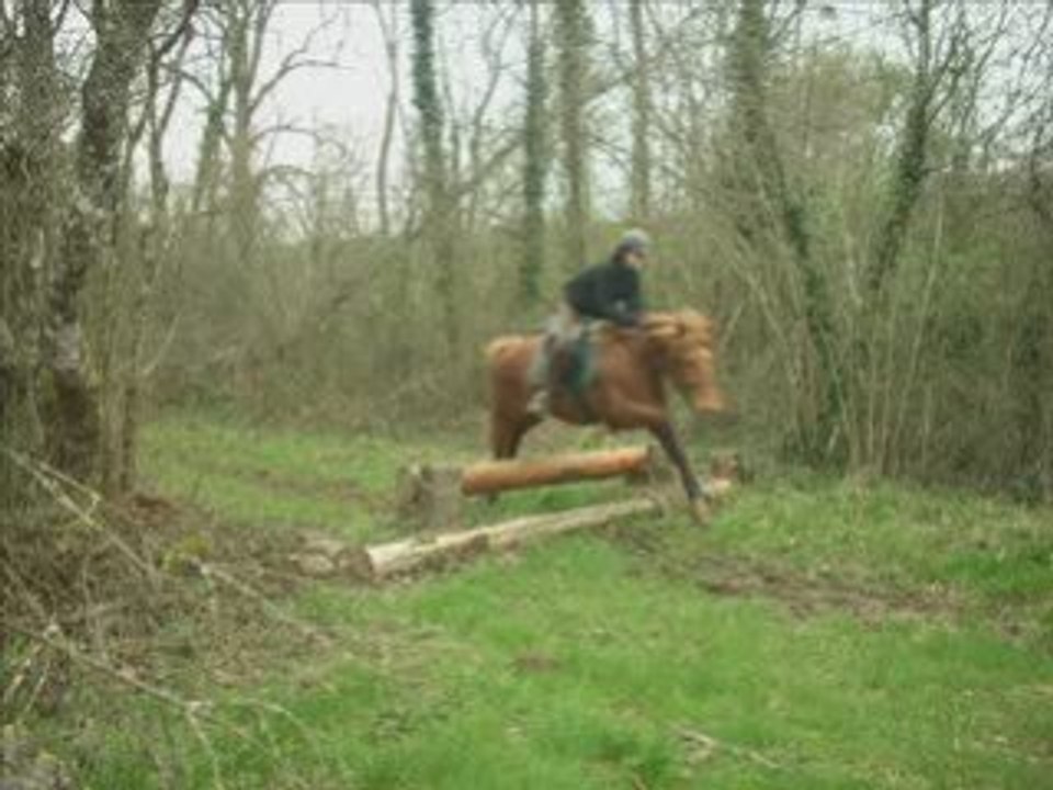 Au cross
