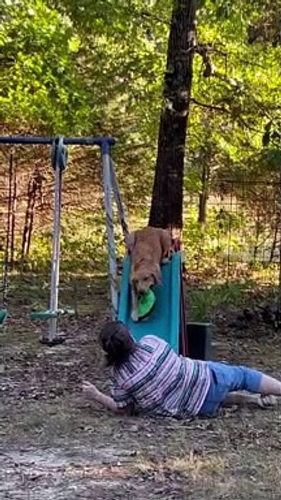 Teaching Dog Trick on Slide