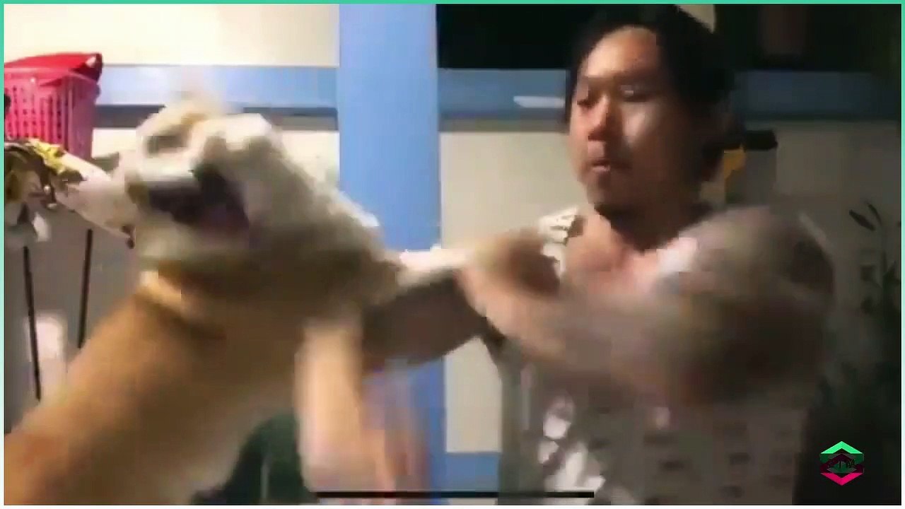 My mom_ _Don't drive the dog crazy