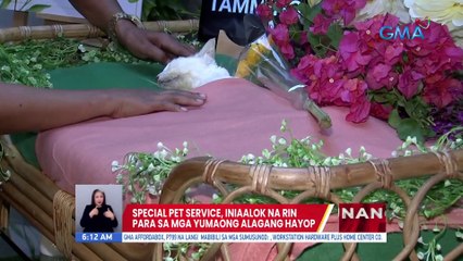 Special pet service, iniaalok na rin para sa mga yumaong alagang hayop | UB
