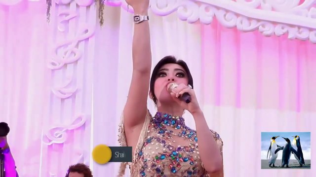 Goyang Morena Princes Syahrini #syahrini #morena #goyangmorena #princessyahrini