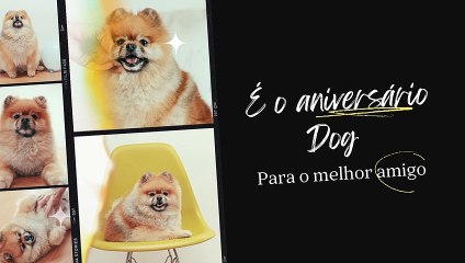 O melhor amigo # best friend #bff #dog #perro #seu animal # lindo