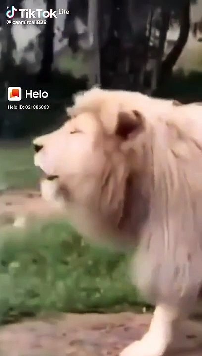 Hhhhhhh