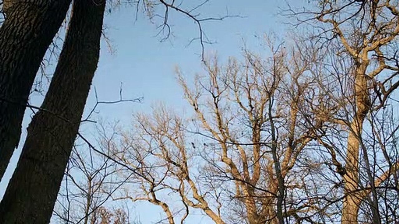 Nymphen Staffel 1 Folge 8 HD Deutsch