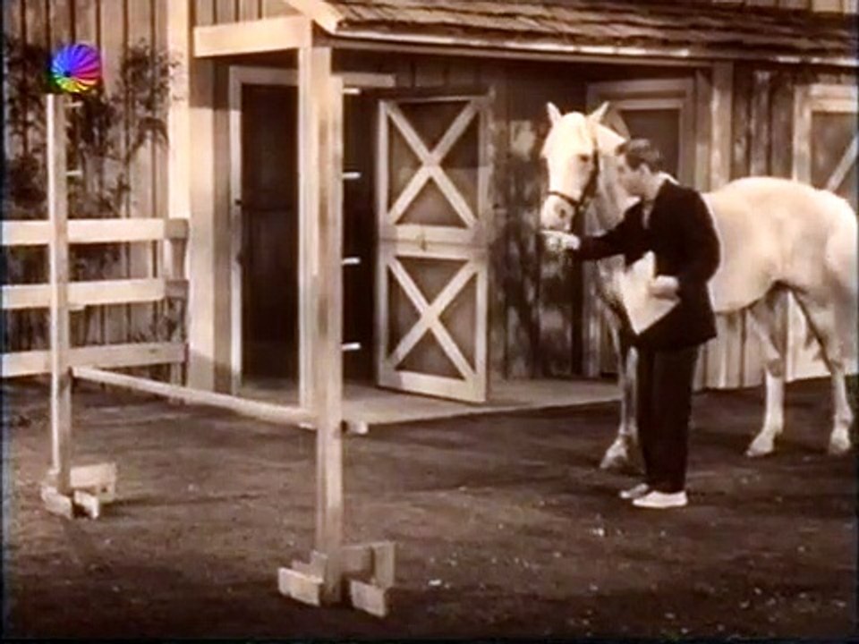 Mr. Ed Staffel 3 Folge 19 HD Deutsch