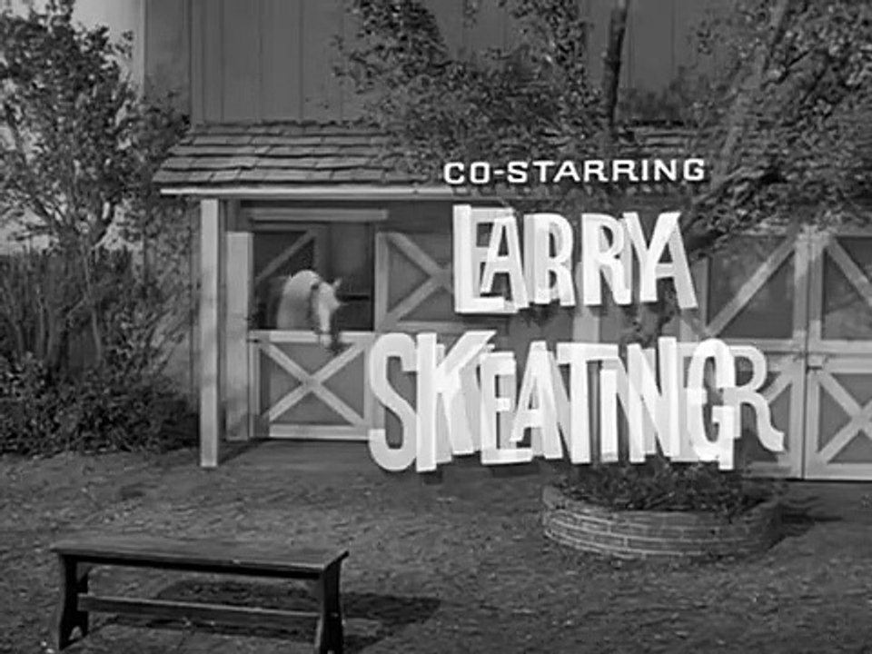 Mr. Ed Staffel 3 Folge 22 HD Deutsch