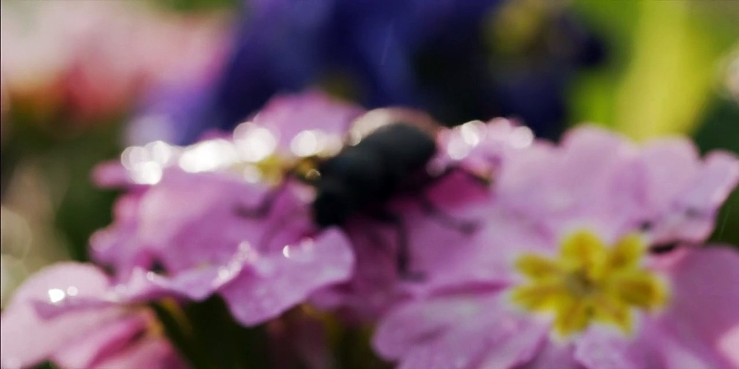 Finding alice staffel 1 folge 3 hd deutsch