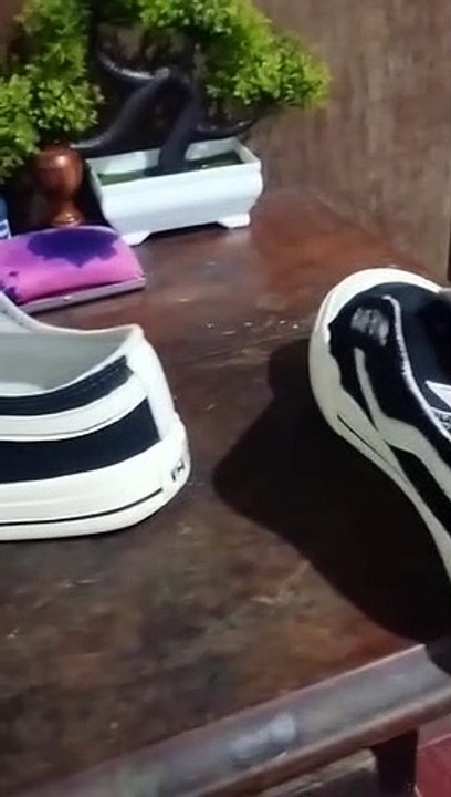sepatu