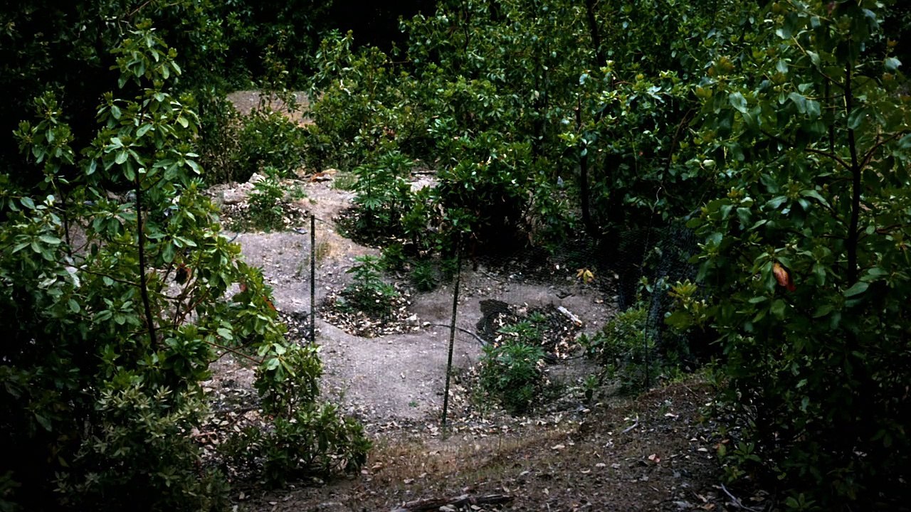 Murder Mountain Staffel 1 Folge 2 HD Deutsch