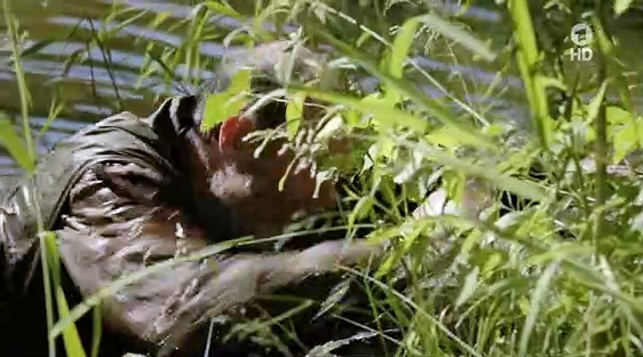 Tatort Staffel 45 Folge 10 - Part 02 HD Deutsch