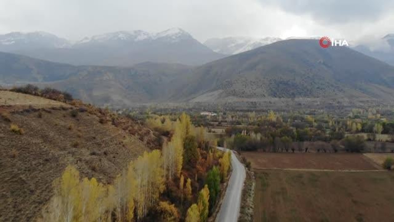 Sonbahardan kışa geçişte renk cümbüşü oluşturan ağaçlar güzelliği ile mest ediyor