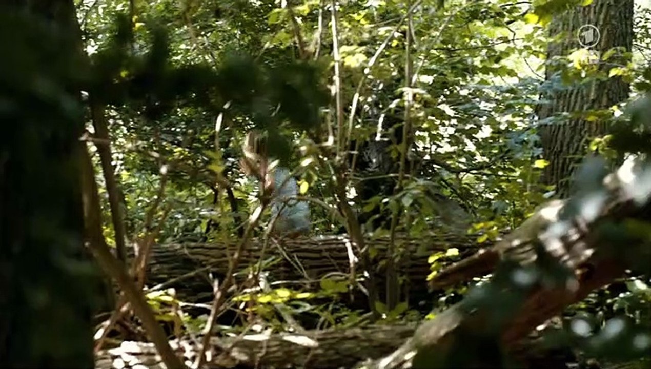 Mankells Wallander Staffel 3 Folge 2 - Part 02 HD Deutsch