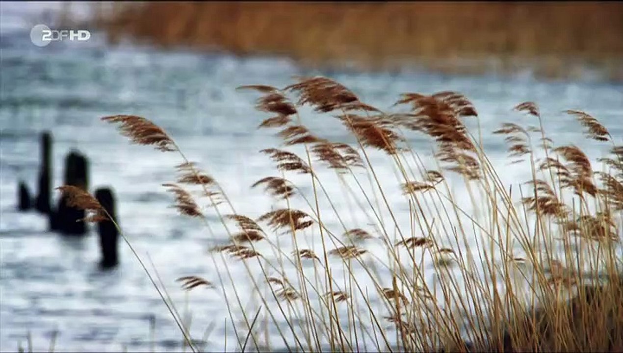 Soko wismar staffel 11 folge 9 hd deutsch