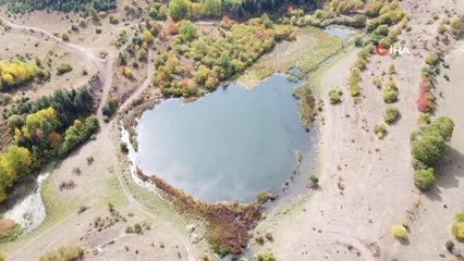Ardahan haber! Ardahan'dan tabloları andıran sonbahar manzarası