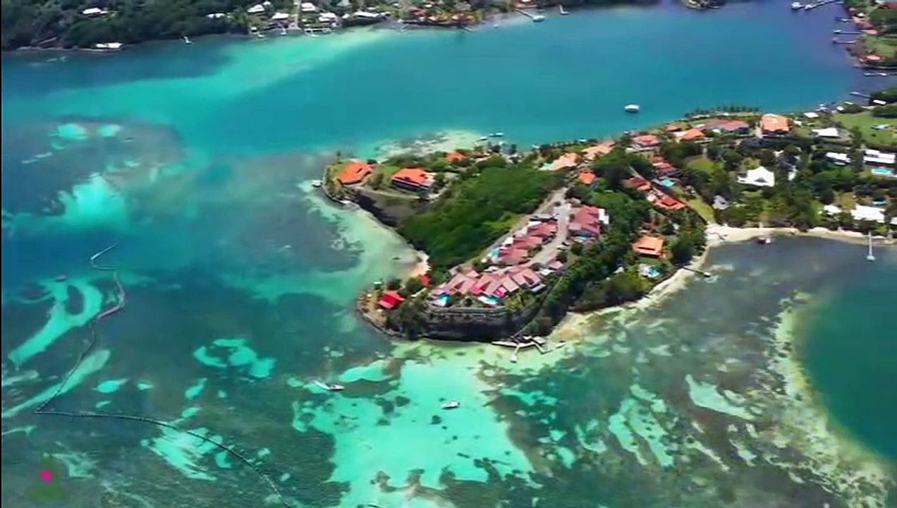 Grande musique et belle nature  Musique délicate, calme le système nerveux et plaît à l'âme