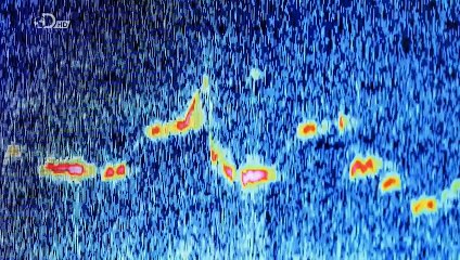 Secret Underground - Verborgene Geheimnisse Staffel 1 Folge 5 HD Deutsch