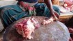 Beef cutting skills by brilliant butcher. Meat cut' video
