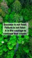 #success #motivational #quotes #courage #matters #failure #inevitable #trending #youtubeshorts #like