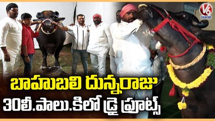 Sadar Festival Celebrations Start Form Oct 27th In Bhagyanagar  _ Hyderabad _ V6 News