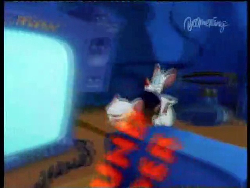 Pinky & der Brain Staffel 3 Folge 20 HD Deutsch
