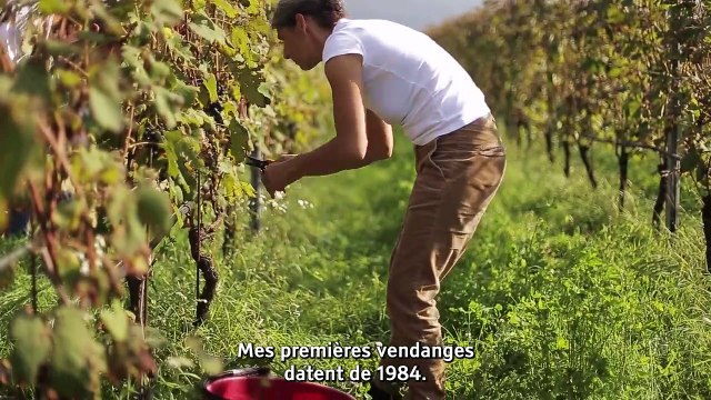 Vigneronnes Bande-annonce VO