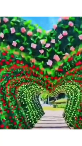 Heart Beats..