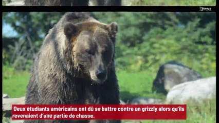 Deux étudiants se battent contre un grizzly !