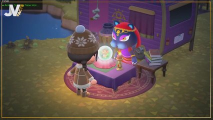 JV Facts Animal Crossing