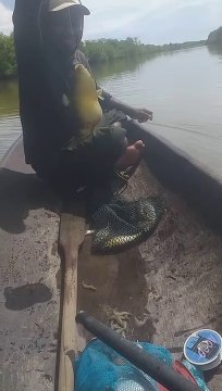 Memancing ikan bukan mancing emosi.memancing strike ikan bukum