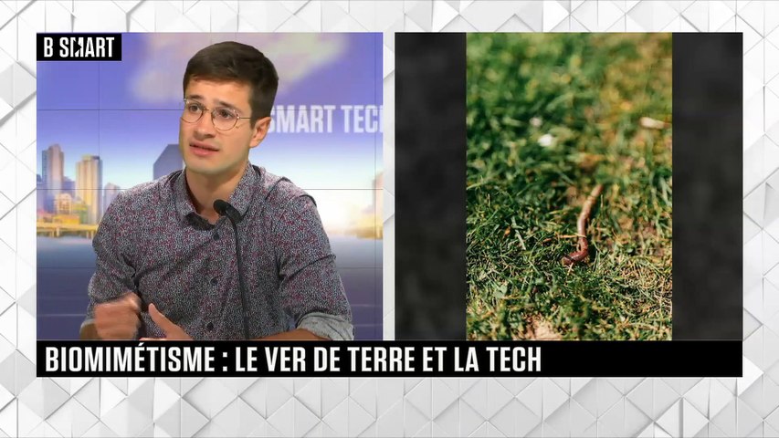 Biomimétisme : le ver de terre et la tech