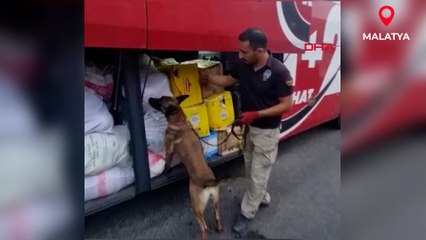 Yolcu otobüsünde 23 kilo uyuşturucu ele geçirildi