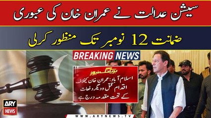 Session court grants Imran Khan's interim bail till November 12