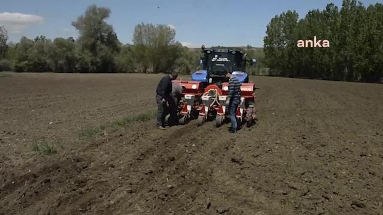 Yozgat yerel haberleri | Yozgat Ziraat Odası Başkanı Açıkgöz, 2022-2023 Tarımsal Destek Ödemelerini Değerlendirdi: "2021 Yılında Neyse Şu An Aynı"