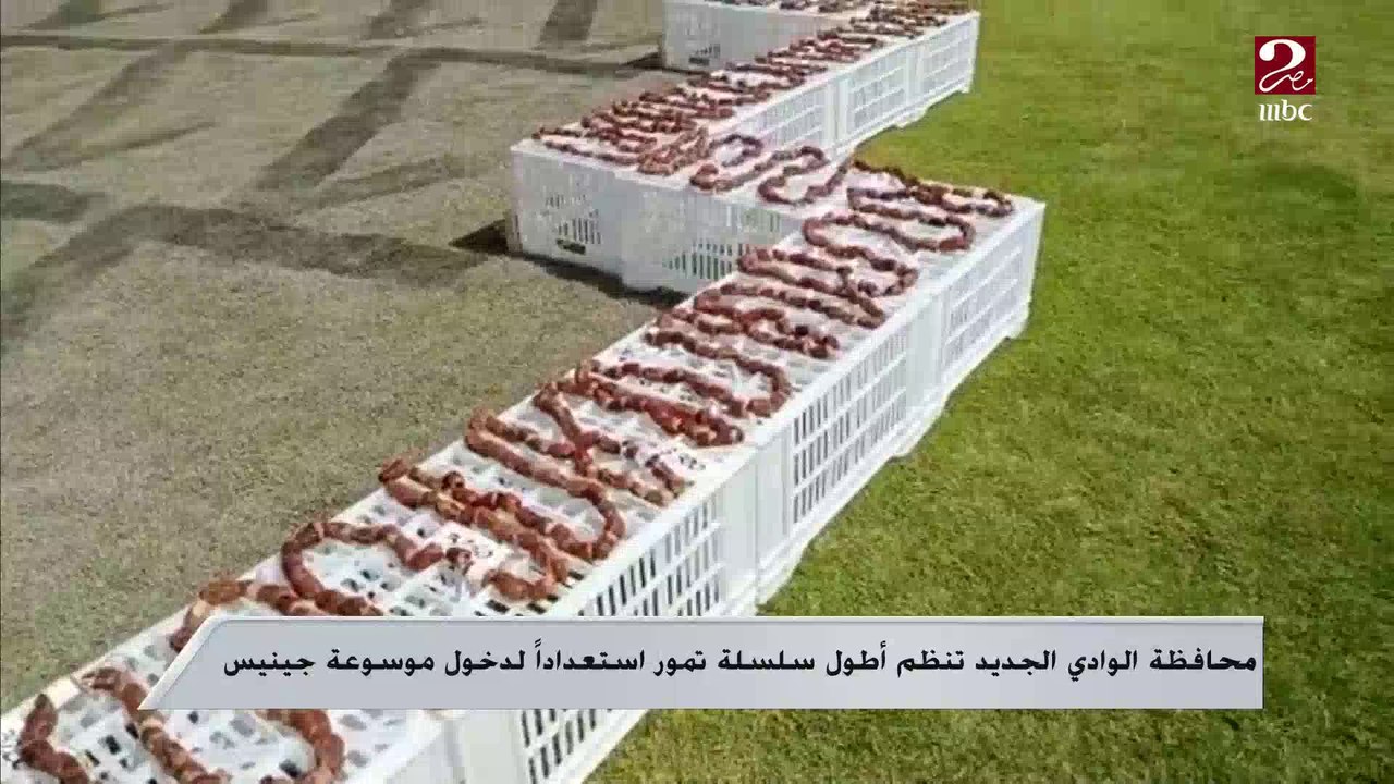 محافظة الوادي الجديد تنظم أطول سلسلة تمور استعداداً لدخول موسوعة جينيس