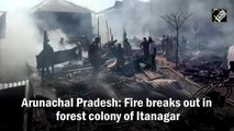 Arunachal Pradesh: Fire breaks out in forest colony of Itanagar