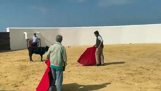 221024 VÍDEO PEPE LUIS 2