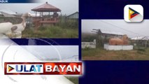 Sementeryo sa Tabuk, Kalinga, nagiging tourist attraction dahil sa kakaibang disenyo ng mga nitso