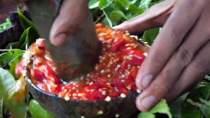 Shrimp eating in jungle, cooking on a rock _ Primitive Wildlife