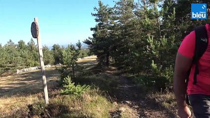 1/2 Les escapades de Mika - Le mont Lozère