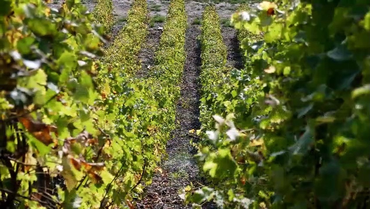 2022-10-Sancerrois-balade St martin