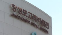 [울산] 울산 고래문화특구 올해 방문객 100만 명 돌파 / YTN