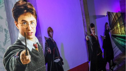 Harry Potter : le projet fou à un milliard d'euros d'un Aubagnais