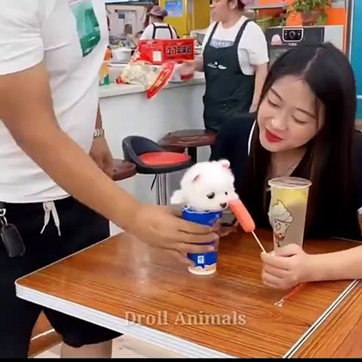 New Funny Dog Videos 2022  Compilation