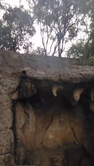 This Mouth Looks Hell