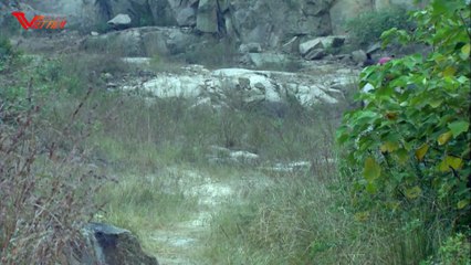 PHIM MỚI 2022 - HOÀNG ĐẾ  HUYỀN THOẠI - Tập 2 - Phim Bộ Trung Quốc Hay Nhất 2021