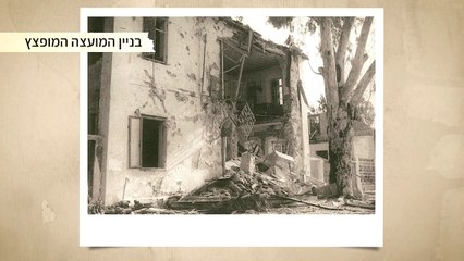 עץ האקליפטוס