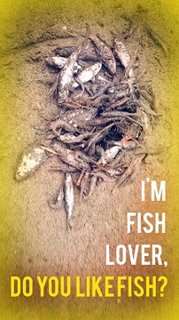 Small fish | fish video | fish fishh |fish cutting | hotel montell fish | flying fish | Village People Life