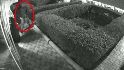 FETÖ zanlısının avukatı aynı dosyanın aranan şüphelisi çıktı