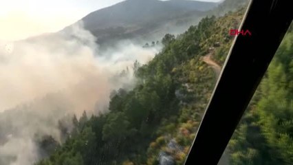 Son Dakika | BURDUR'DA ORMAN YANGINI