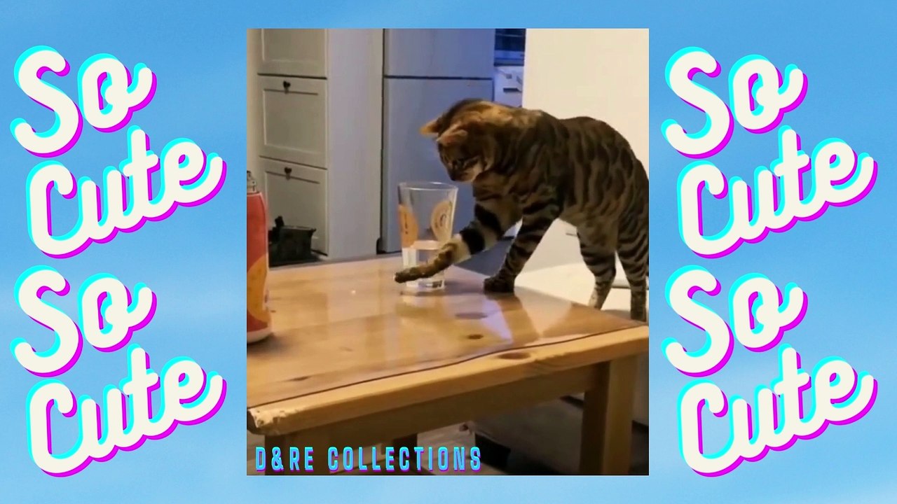 D&RE COLLECTIONS_2